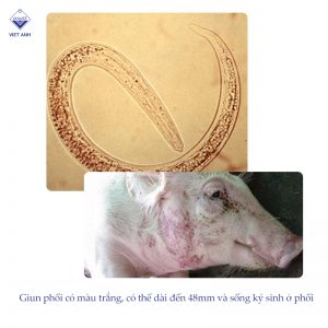 pasted image 0 8