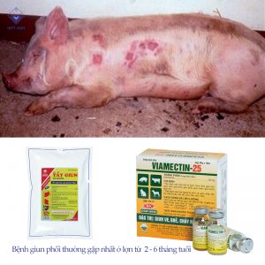 pasted image 0 9