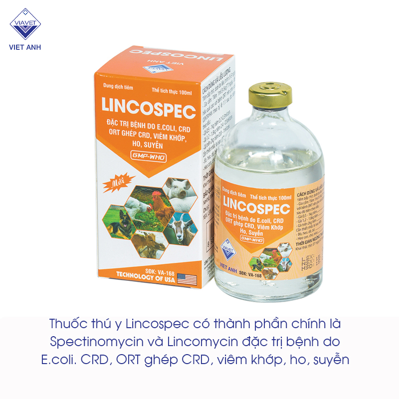 Spectinomycin Inj Spectinomycin Hoạt Chất đặc Trị Nhiễm Trùng đường Hô Hấp - CÔNG TY ...