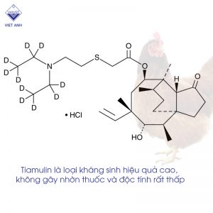 tamulin 1