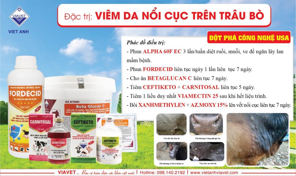 viem da noi cuc tren trau bo
