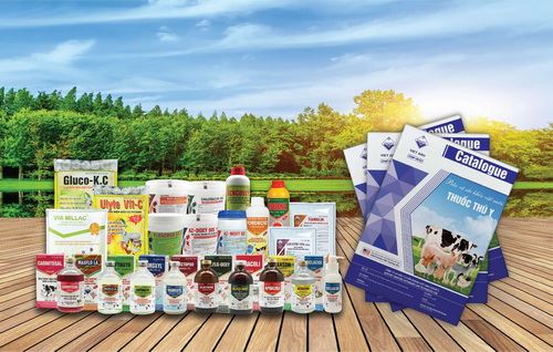 2fc8bda08 637772333715781777 HasThumb