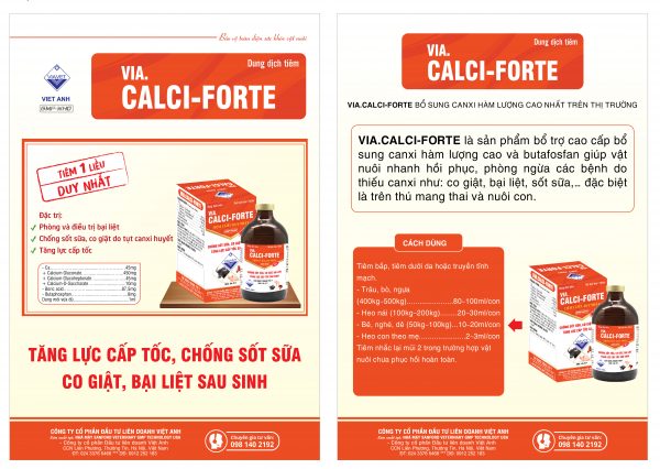 CALCI FORTE 01 scaled