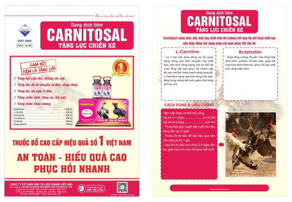 CANITOSAL TL 01 scaled