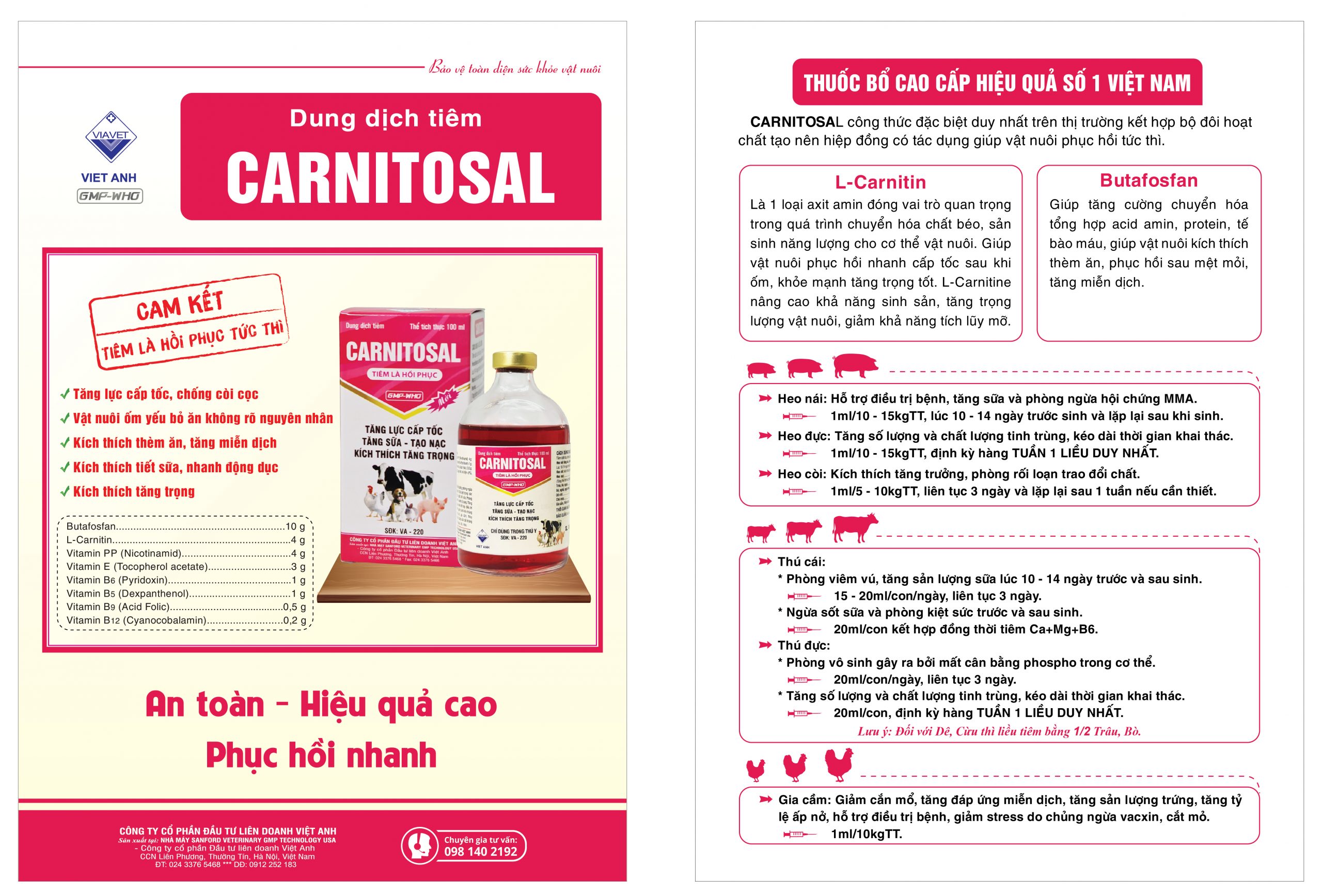 Thuốc kháng sinh CARNITOSAL