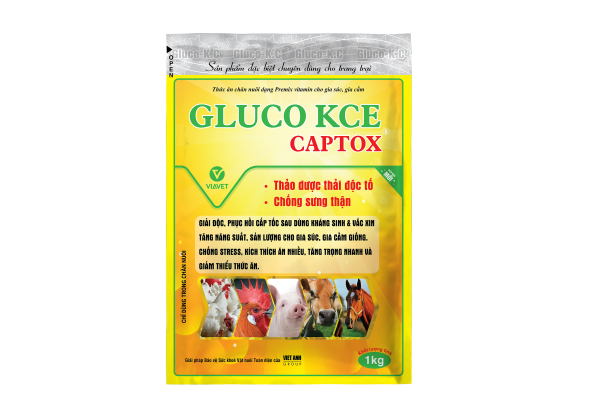 Gluco KCE CAPTOX 1kg 1