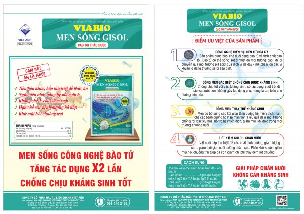VIBIO men song GILSON 01 scaled