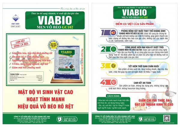VIBIO men vo beo GC102 01 scaled