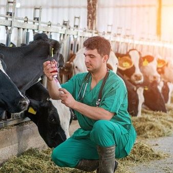 z32675143 637836234419847914 HasThumb