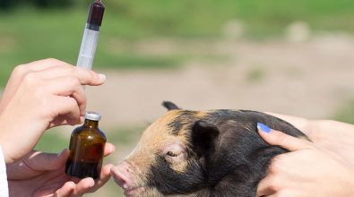 3392742656 395x245 e1676882581945