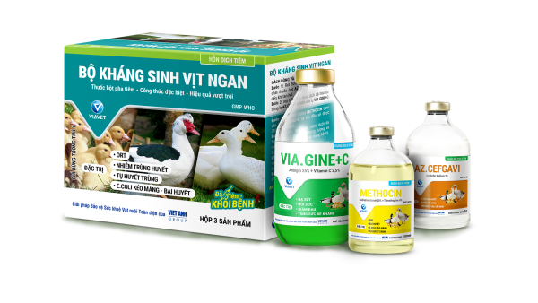 BO KS VIT NGAN