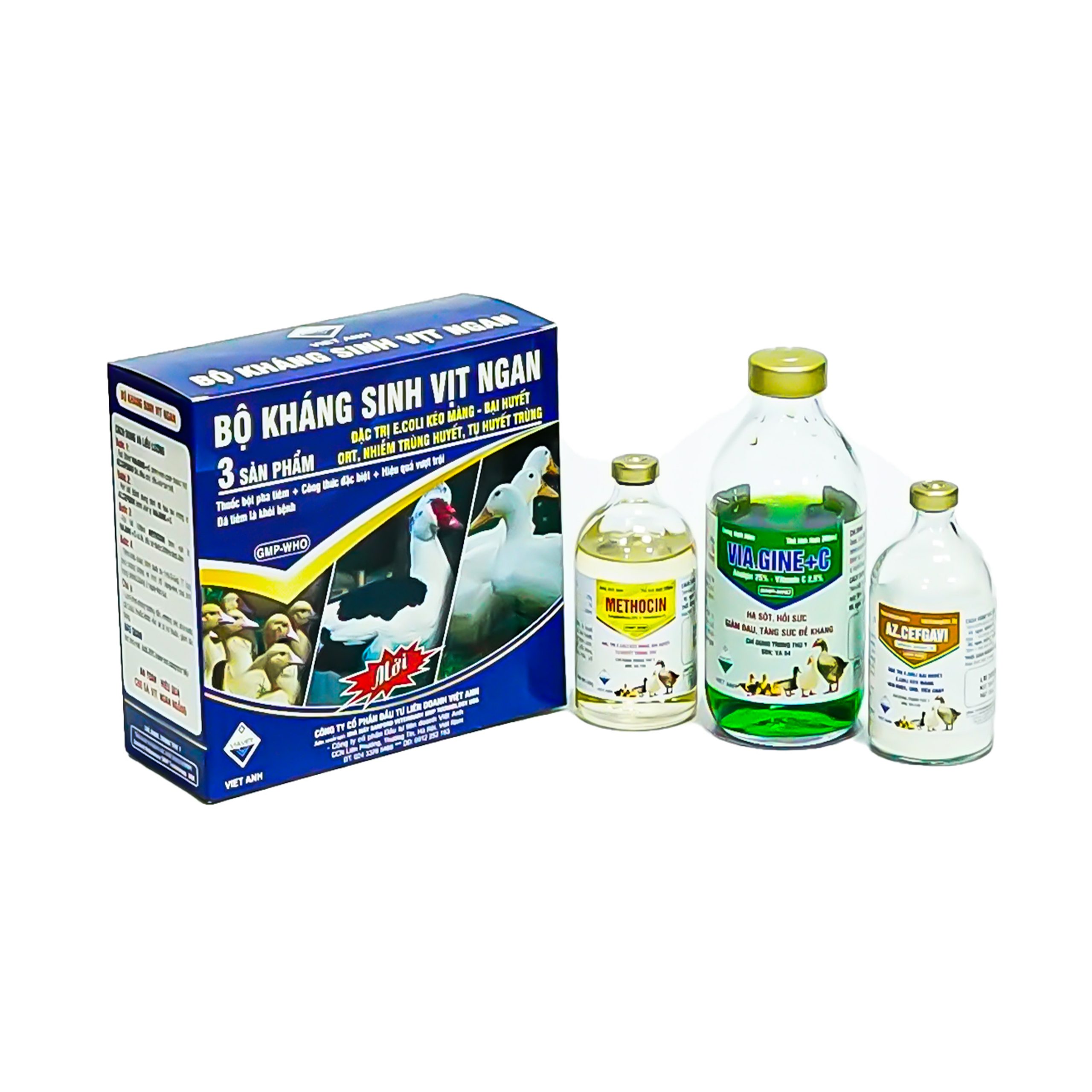 DSC00648 Edit scaled