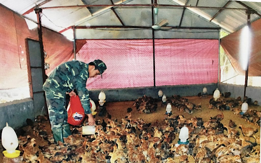 kháng sinh cho gia cầm