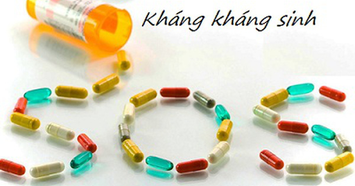 Tác hại của việc lạm dụng thuốc kháng sinh thú y trong chăn nuôi