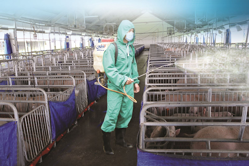 Hướng Dẫn Cách Dùng Sản Phẩm Thuốc Khử Trùng Chăn Nuôi, Hiệu Quả, Chất Lượng Tốt