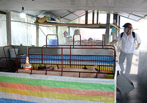 Mức giá sản phẩm thuốc khử trùng chuồng trại