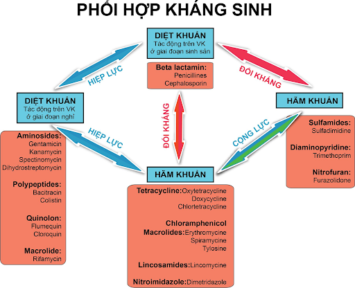 Mục đích phối hợp của các nhóm thuốc kháng sinh trong thú y