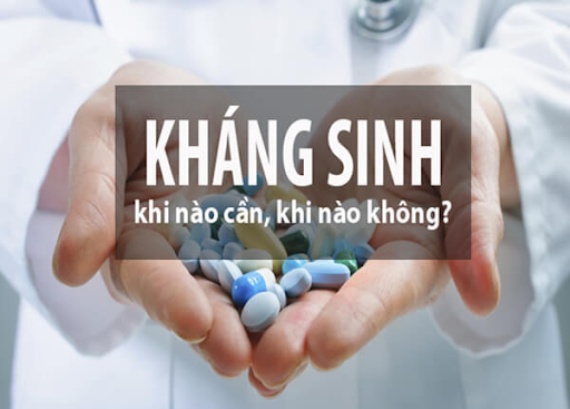Những lưu ý khi sử dụng thuốc kháng sinh thú y cho vật nuôi trong chăn nuôi