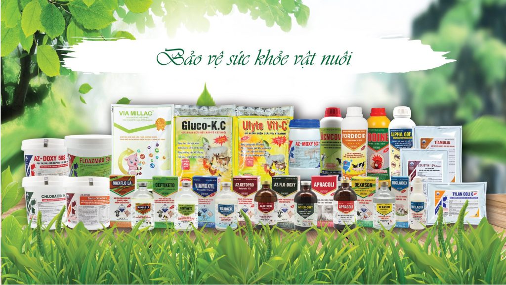 z4444012231414 11a2551e49f28e0cdc2502222d52ae7f 1