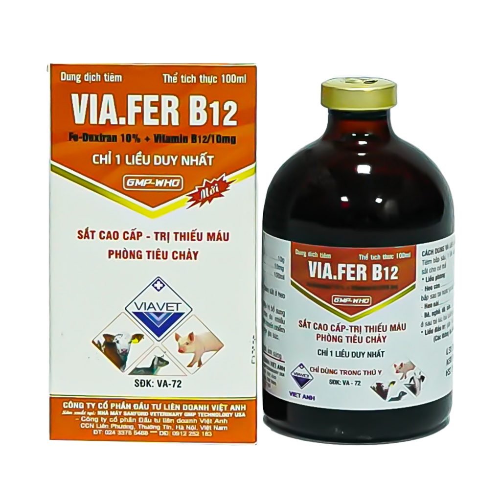 VIA FER+B12