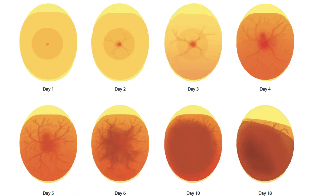 ScreenShot2020 01 09at14.36.15