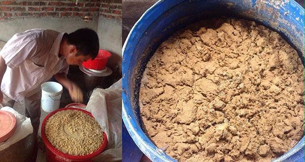 thức ăn ủ men vi sinh