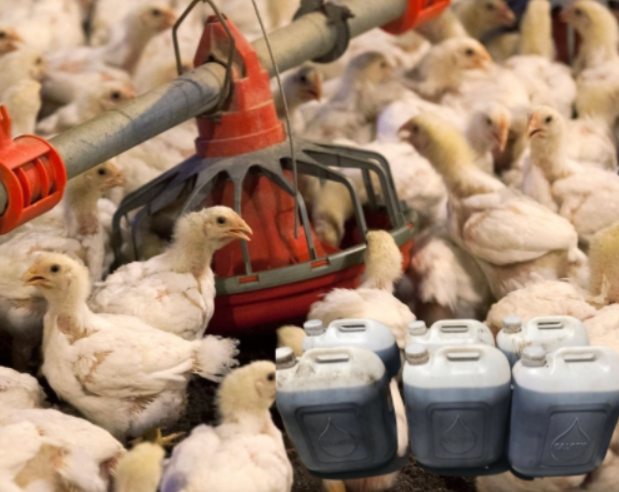 Screenshot 2023 05 05 221829