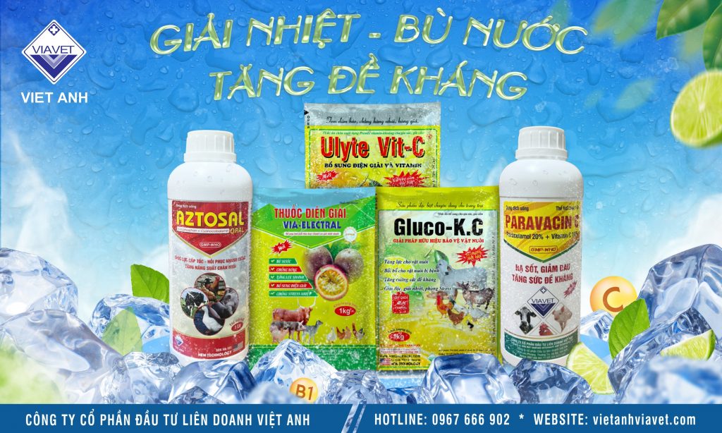 z4431618320337 6e0a9e8cd07575838b64f76fb6d9aec1