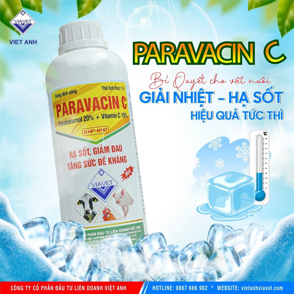 z4447443960537 6c5966adeafaeb333ef89c34d3d0570d