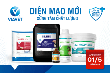 Thumbnail Website 1 1