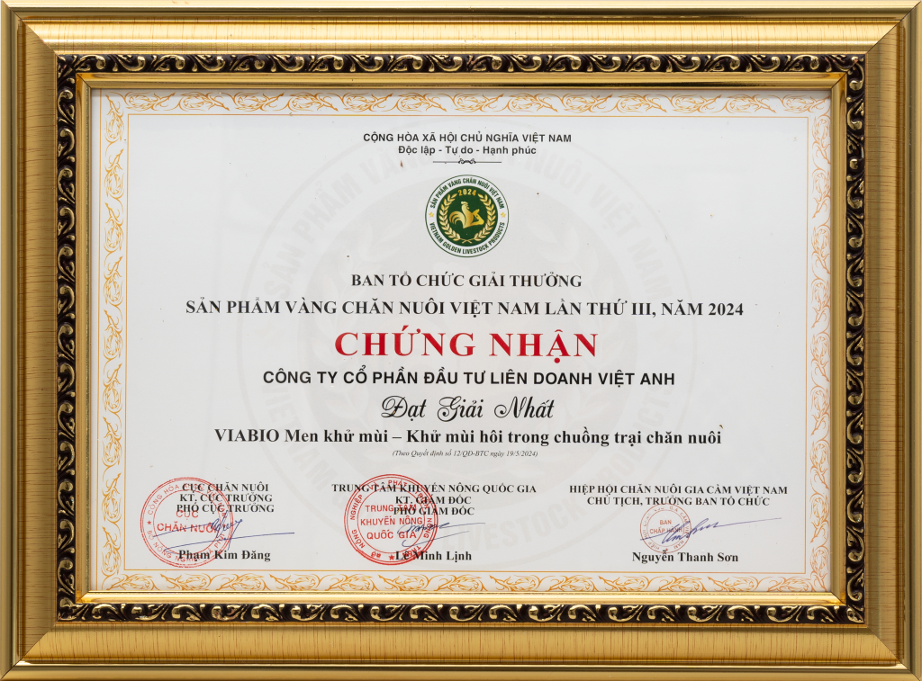 Giay CN VIABIO Men khu mui