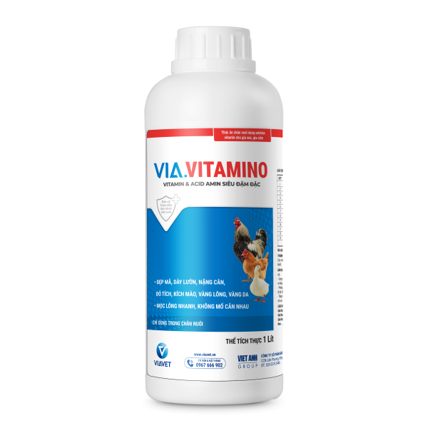 VITAMINO 1lit