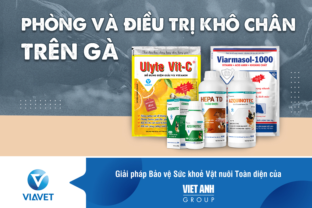 PHONG VA TRI KHO CHAN TREN GA 1024 X 683