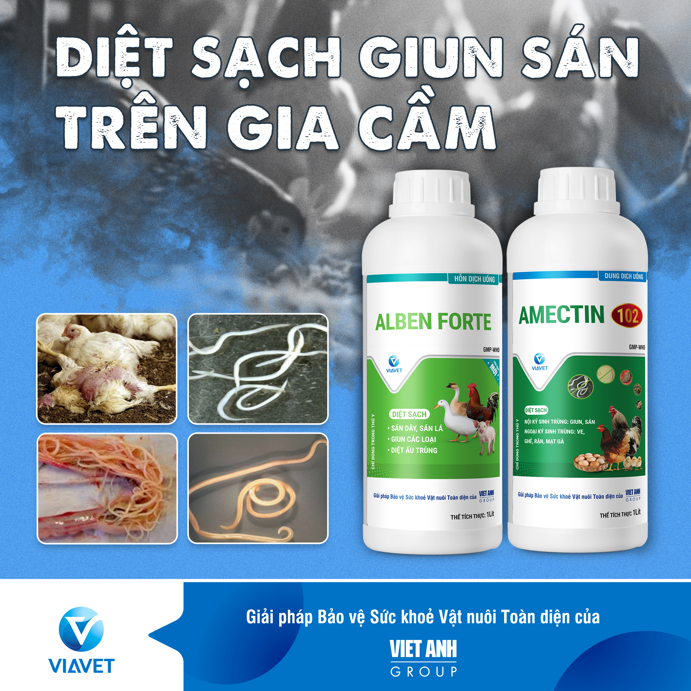 DIET SACH GIUN SAN TREN GIA CAM 1