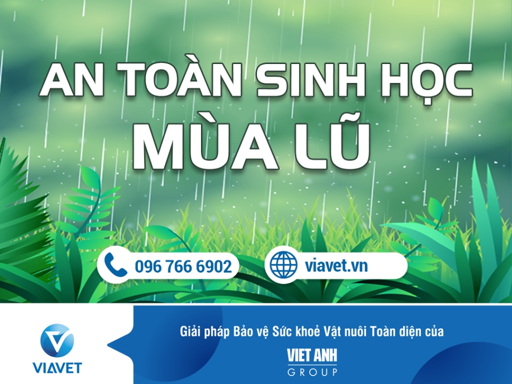 AN TOAN SINH HOC MUA LU 1080x810