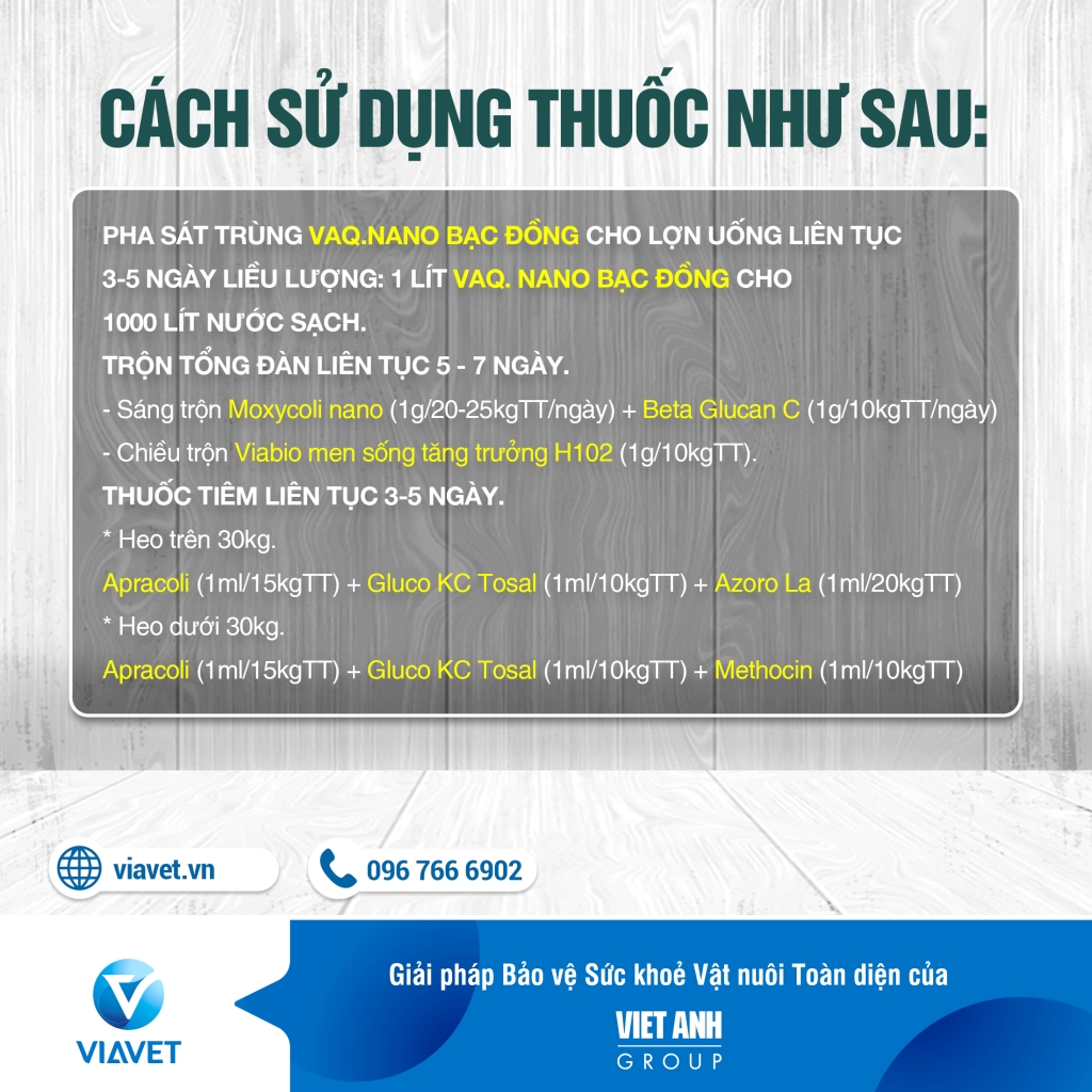 PHONG NGUA TIEU CHAY CAP O LON 1