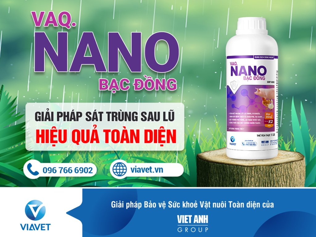 VAQ.NANO BAC DONG 2 1080x810 1