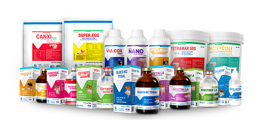 BANNER WEB 858 X 424