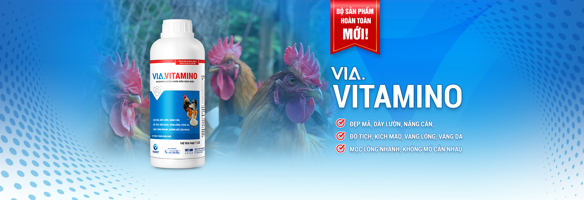 BANNER WEB 1920 X 660 (1)