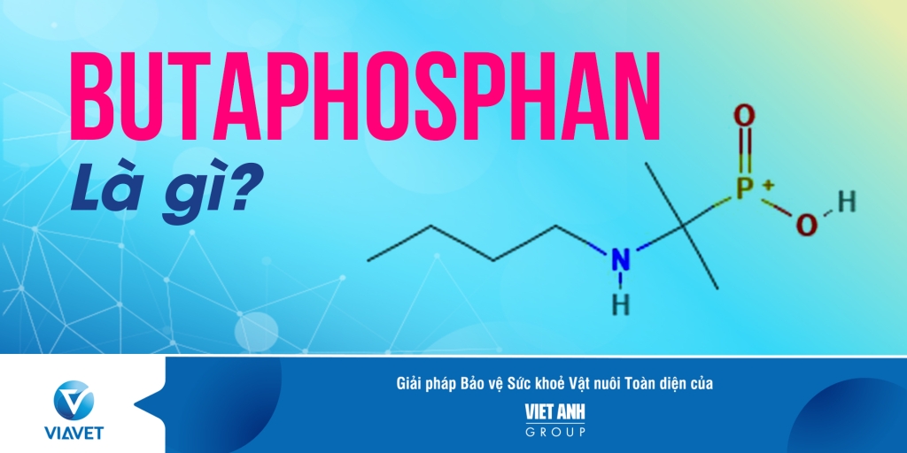 BUTAPHOSPHAN LA Gi 1 1