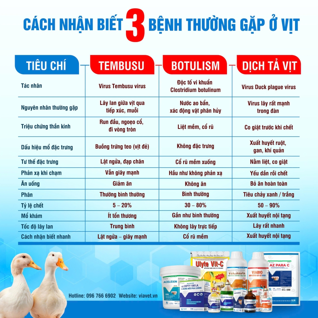 z7612699652623 6d66d0bc702a77e0a502c70a64b3d72b