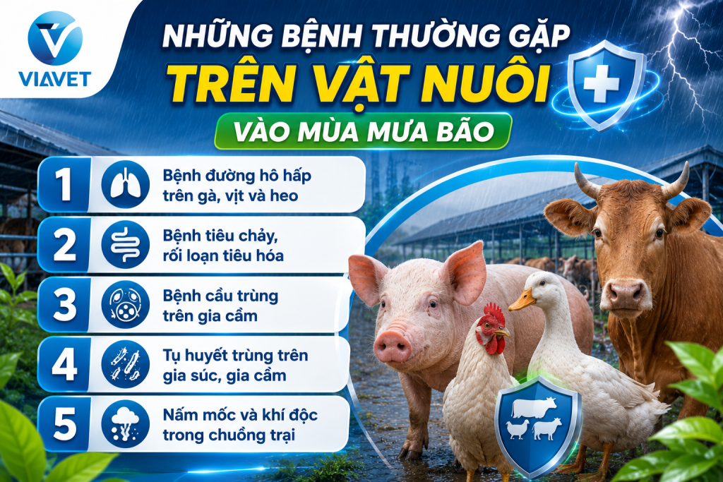 Những bệnh thường gặp trên vật nuôi