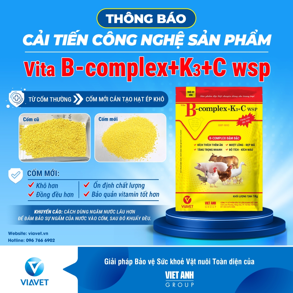 THONG BAO CAI TIEN CONG NGHE SAN PHAM BCOMPLEX 1