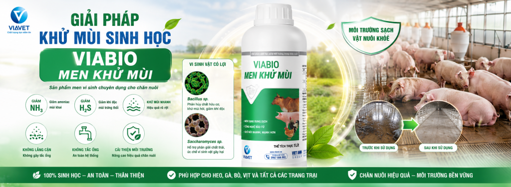 Giải pháp khử mùi sinh học viabio men khử mùi