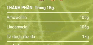 thanh phan amoxlinco