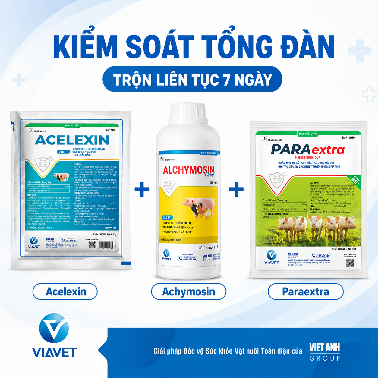 Phác đồ điều trị Tổng đàn