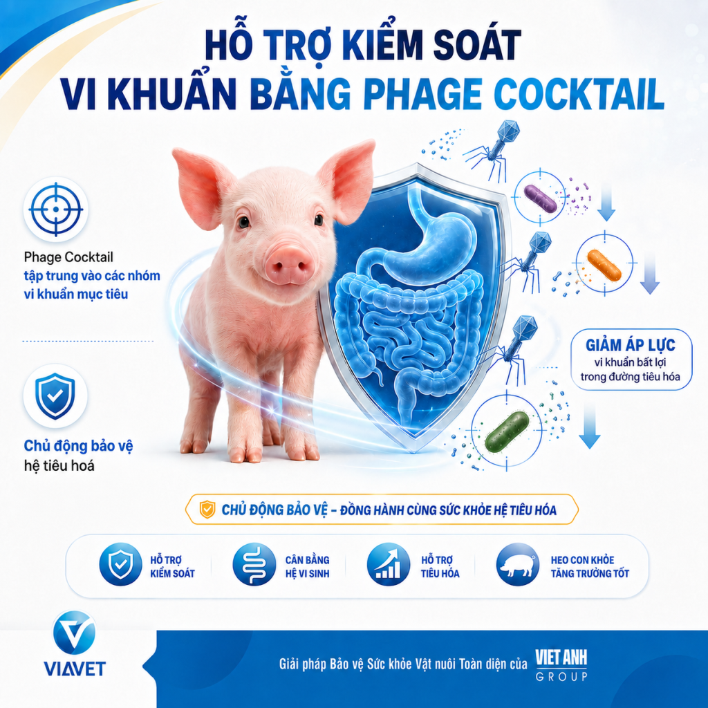 d55d5cf8 7284 4d93 b307 48b0eb8f997a