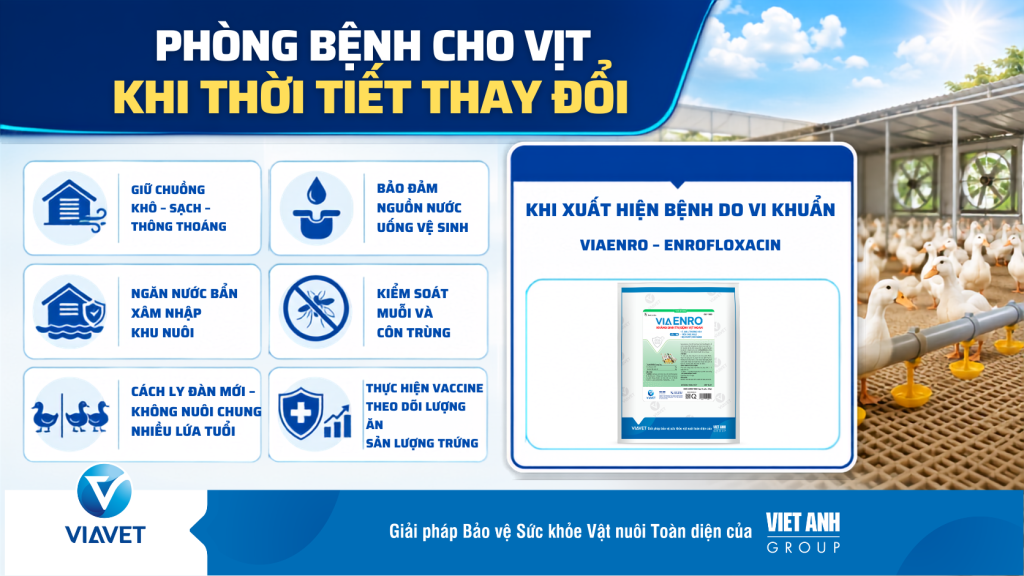 Bao dam Nguon nuoc uong ve sinh