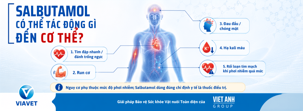 Thiet ke chua co ten 3