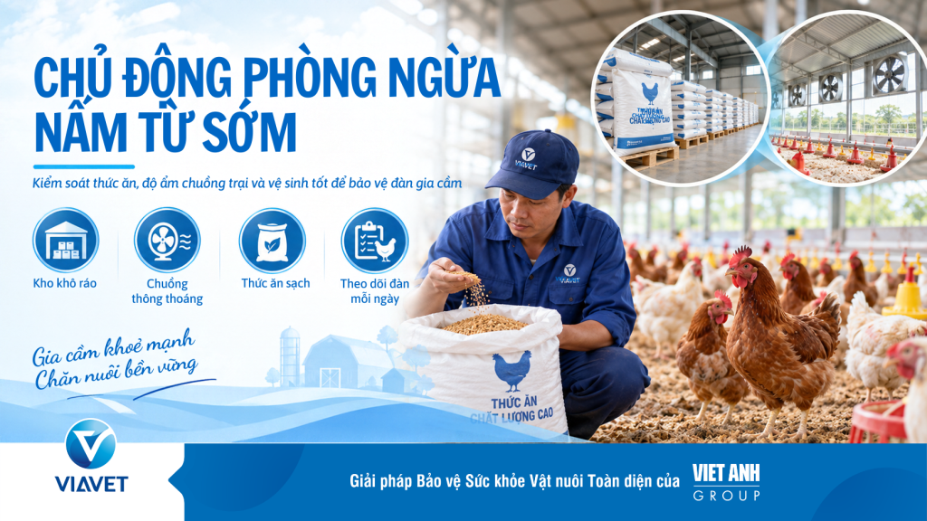 Chu dong phong ngua nam tu som
